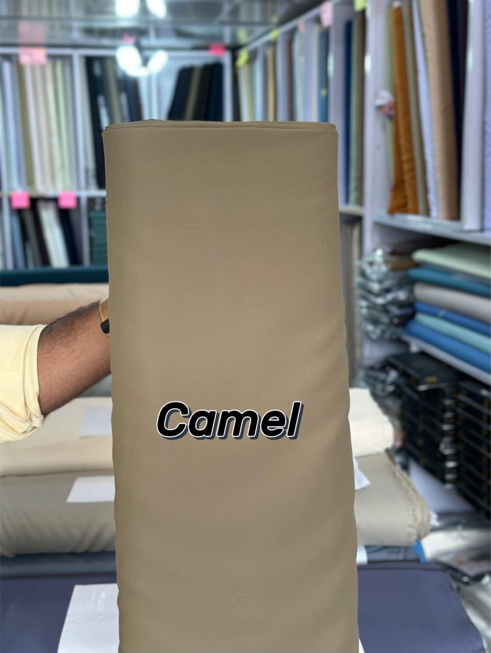 Al Habib Qaza — Camel
